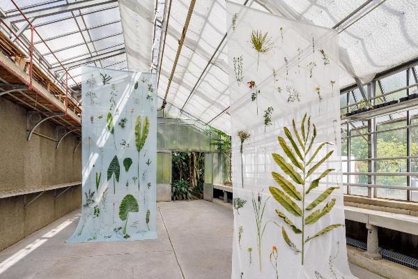 Evalie Wagners Kunst in der Winterhalle des Botanischen Gartens München