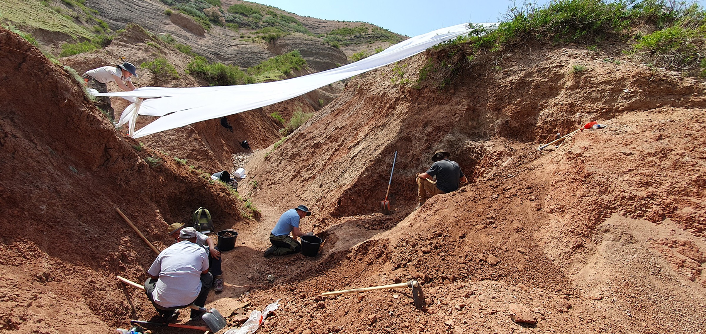 Die Paläontologen bargen die Fossilien aus den Ton-, Silt- und Sandsteinen der sogenannten Balabansai-Gesteinsformation, nahe der Stadt Taschkömür im westli-chen Teil Kirgisistans.