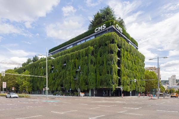 Begrünte Häuserfassade in Stuttgart für ein besseres Stadtklima.