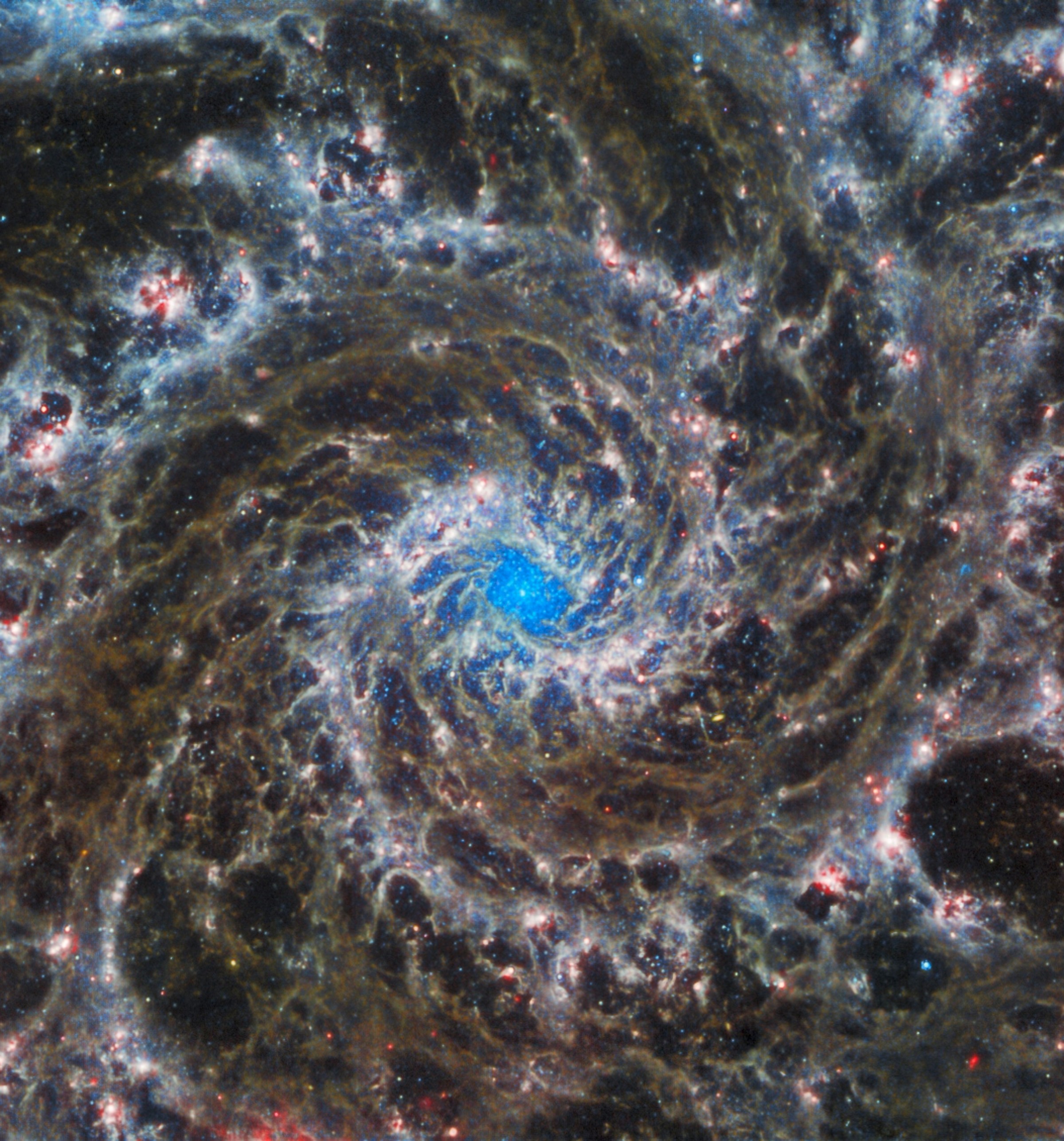 Phantom-Galaxie, aufgenommen vom James Webb Space Teleskop