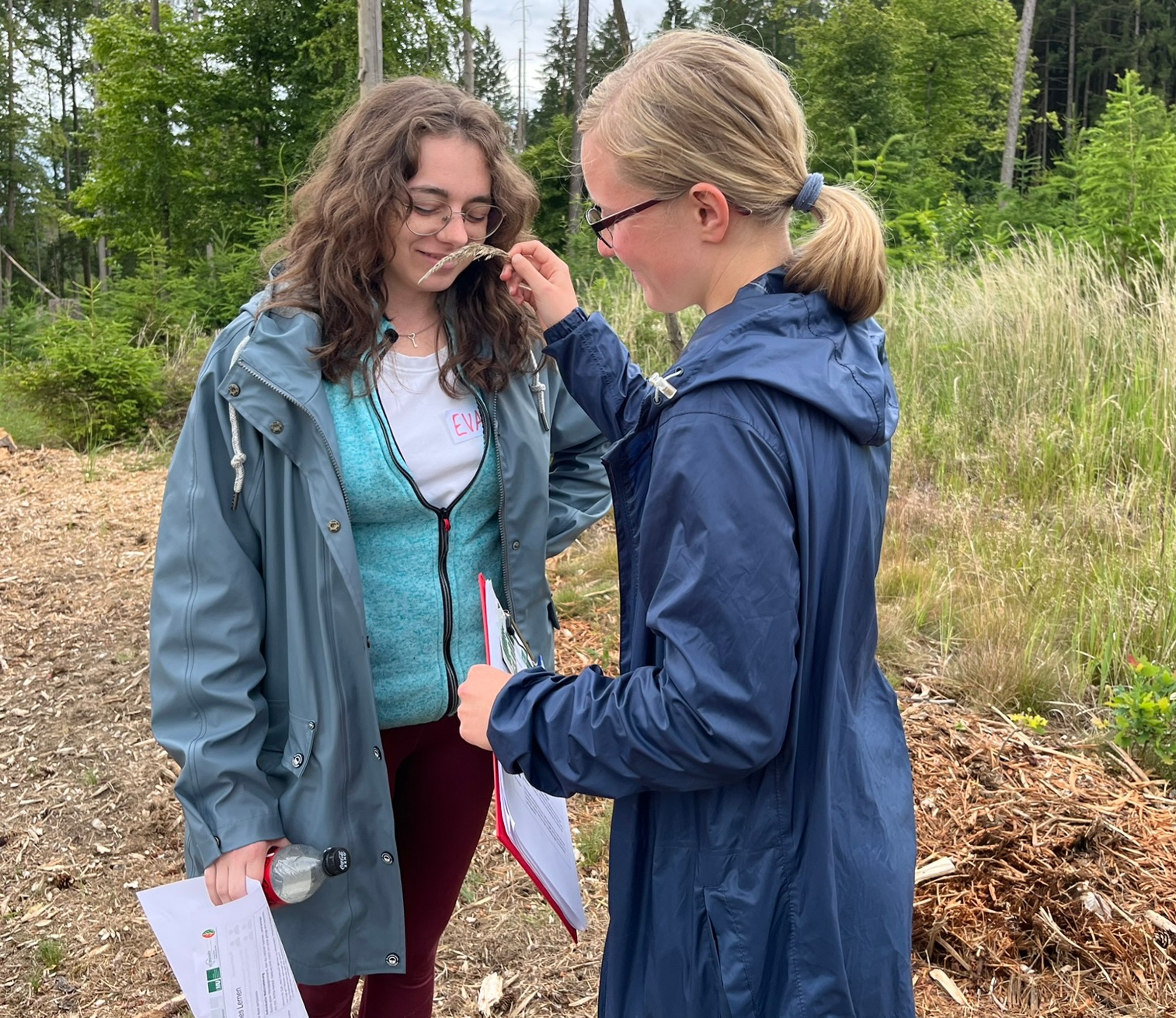 Exploring the university forest with all the senses