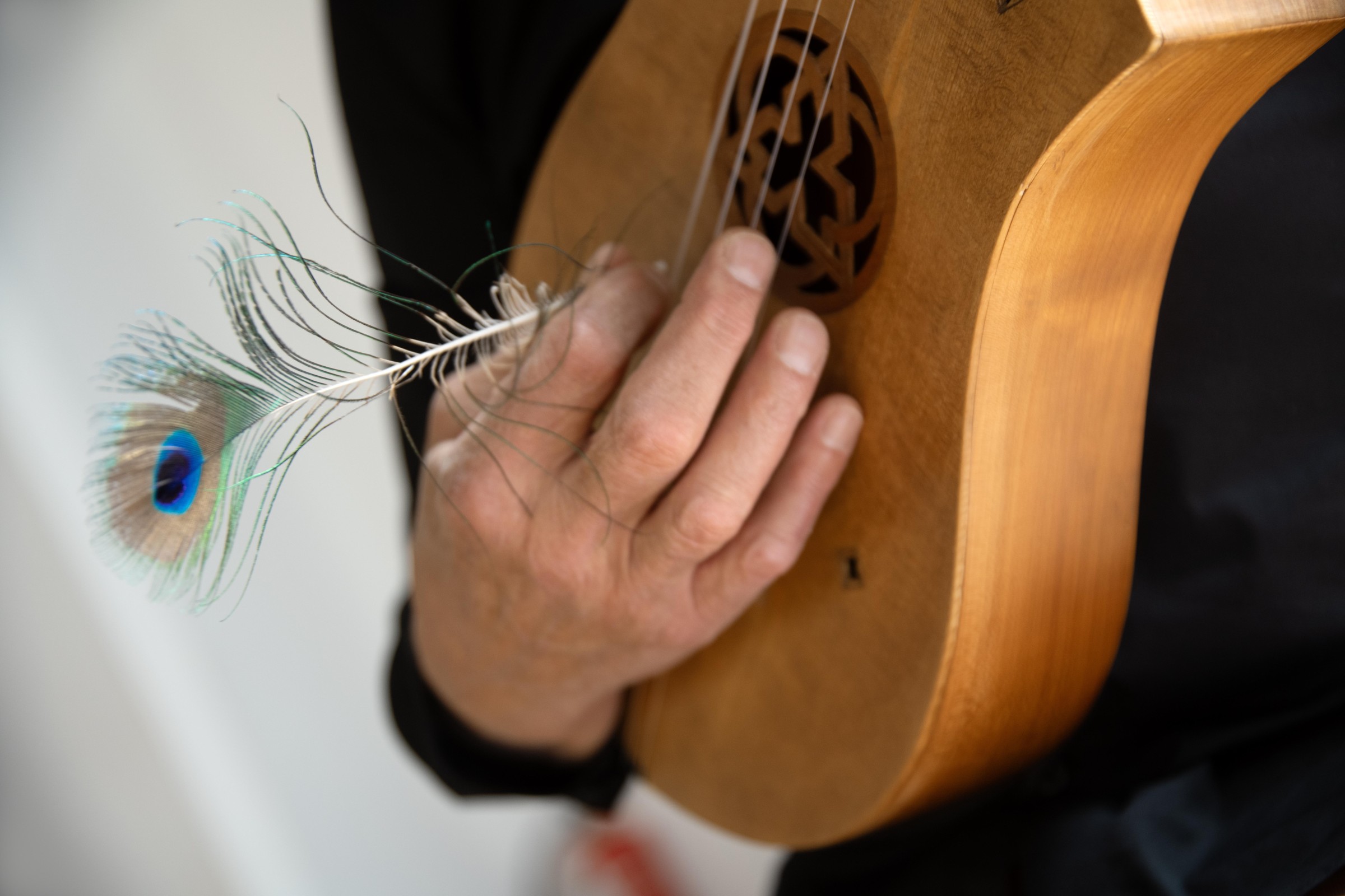 Citole von Joel Frederiksen, gespielt mit einer Pfauenfeder