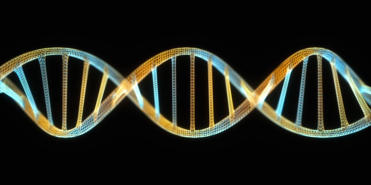 Reparatur von DNASchäden LMU München