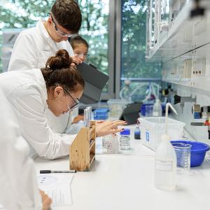 Schülerinnen und Schüler untersuchen Proben im Chemie-Labor