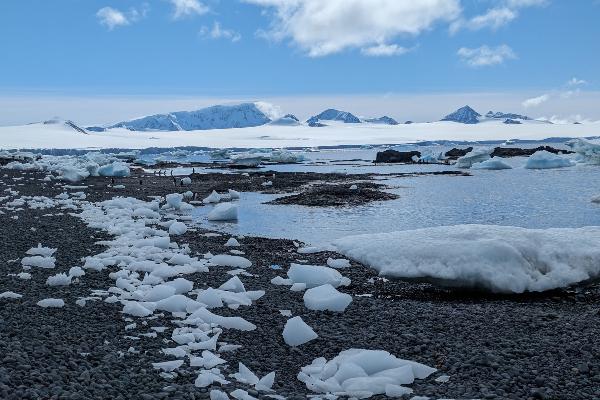 Ice in the Antarctic