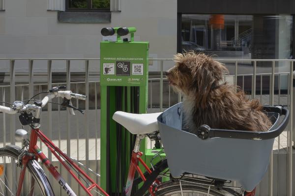 Ein Hund sitzt in einem Fahrradkorb vor einer Fahrrad-Reparaturstation der LMU