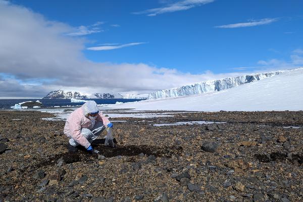 Gonzalo Gomez-Saez takes samples in the Antarctic