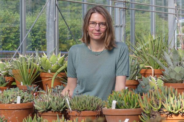 Porträtfoto der LMU-Professorin Gudrun Kadereit in einem der Gewächshäuser des Botanischen Gartens in München. | © LMU Porträtfoto der LMU-Professorin Gudrun Kadereit in einem der Gewächshäuser des Botanischen Gartens in München.