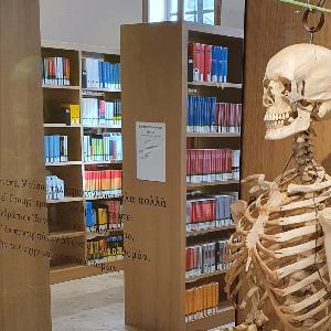 A skeleton in the hallway of LMU´s Philologicum