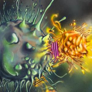 Artwork of a T cell recruited by a DNA origami PTE attached to a tumor cell.