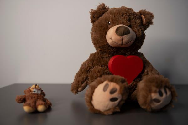 Two teddy bears with sensors to transmit messages