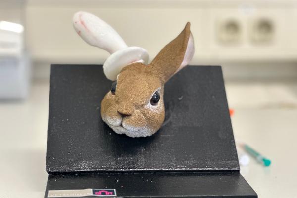 Model of a rabbit