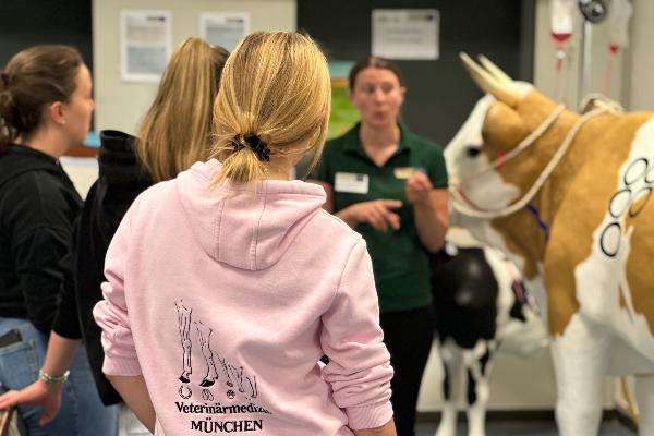 Veterinarian Dr. Sonnewald-Daum and her students in the compact course on ruminants.