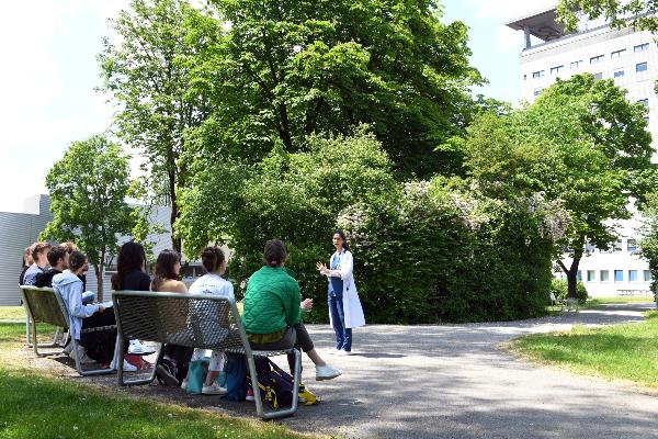 Eine Dozentin unterrichtet eine Gruppe Studierender auf einer Wiese im Schatten.