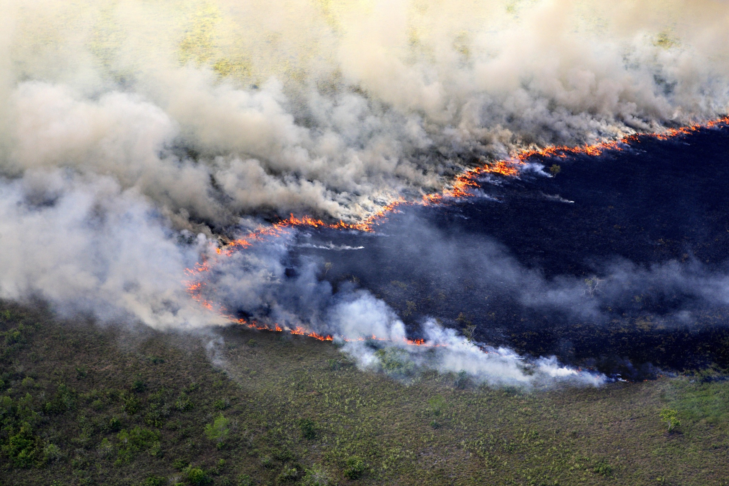 In this Nov. 28, 2019 photo, fire consumes an area next the Amazon forest alongside the road BR-163 in Itaituba, Para state, Brazil.