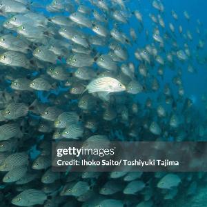 Research Magazine: LMU Research and Innovation